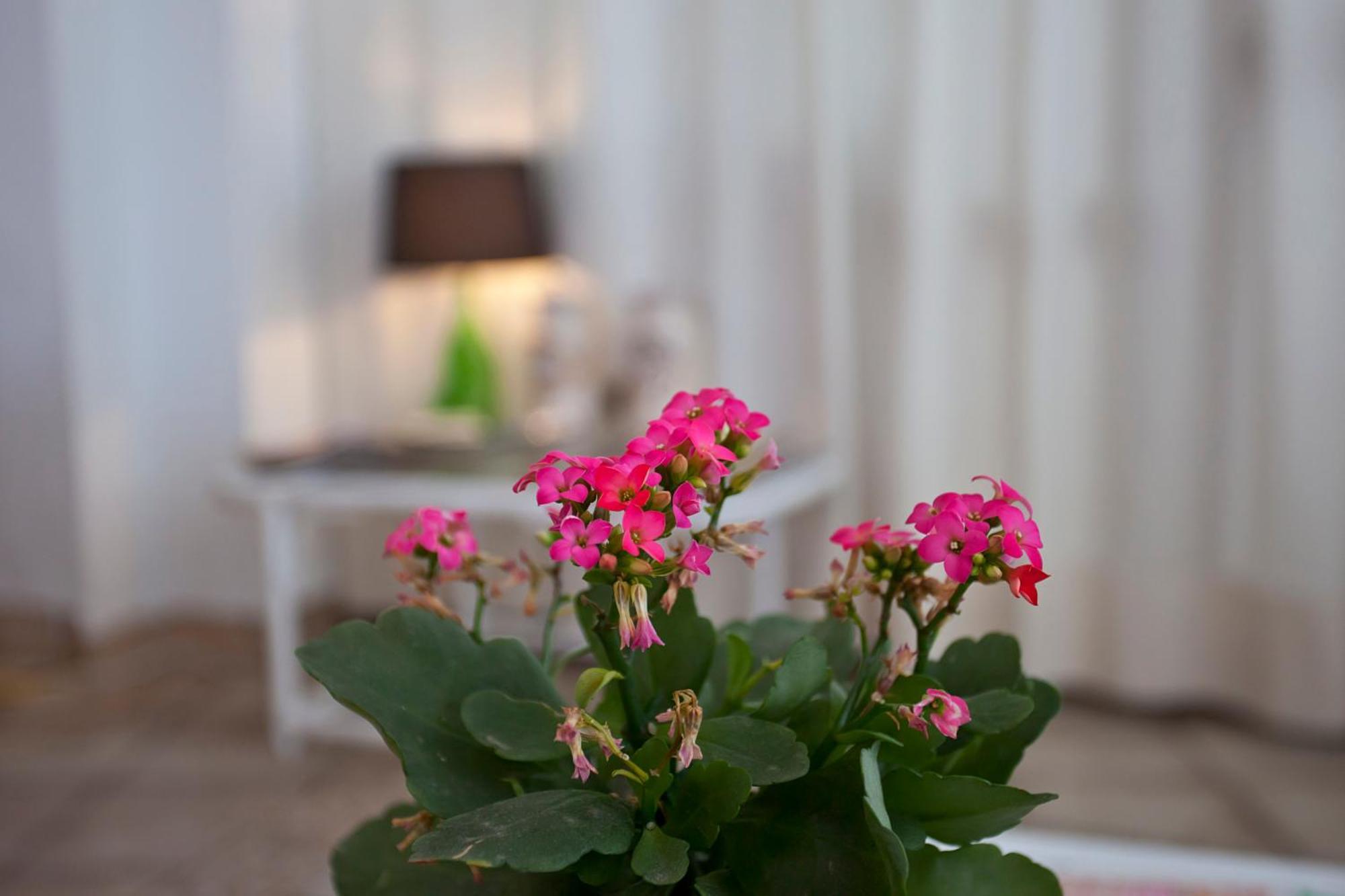 Galaxia Boutique Hotel Can Picafort  Ngoại thất bức ảnh